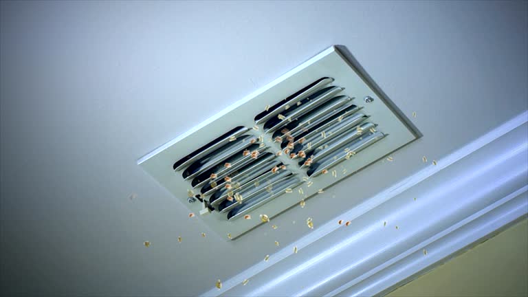 Best Local Air Duct Cleaning Services  in Makawao, HI