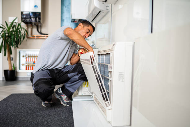 Best Professional Duct Cleaning Services  in Makawao, HI