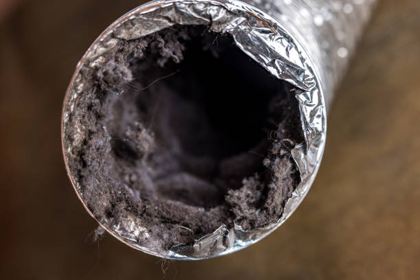 Best Residential Air Duct Cleaning  in Makawao, HI