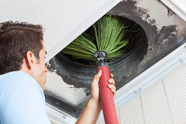 Best Air Vent Cleaning Services  in Makawao, HI